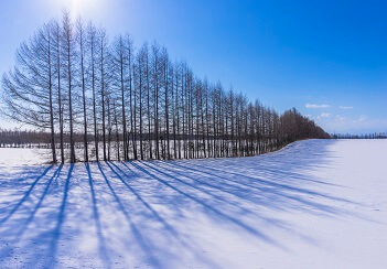 北海道画像